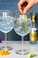 Gin Tonic Tasting